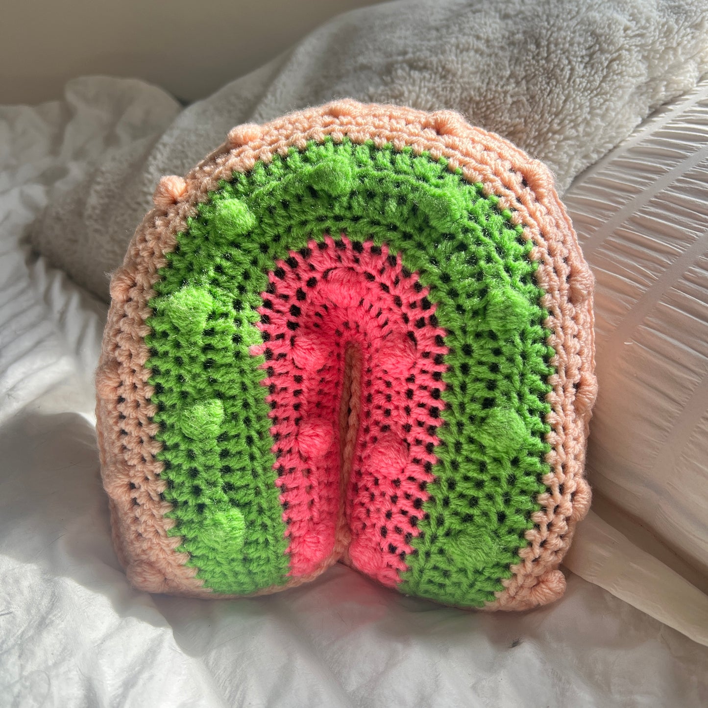 Watermelon Rainbow Pillow