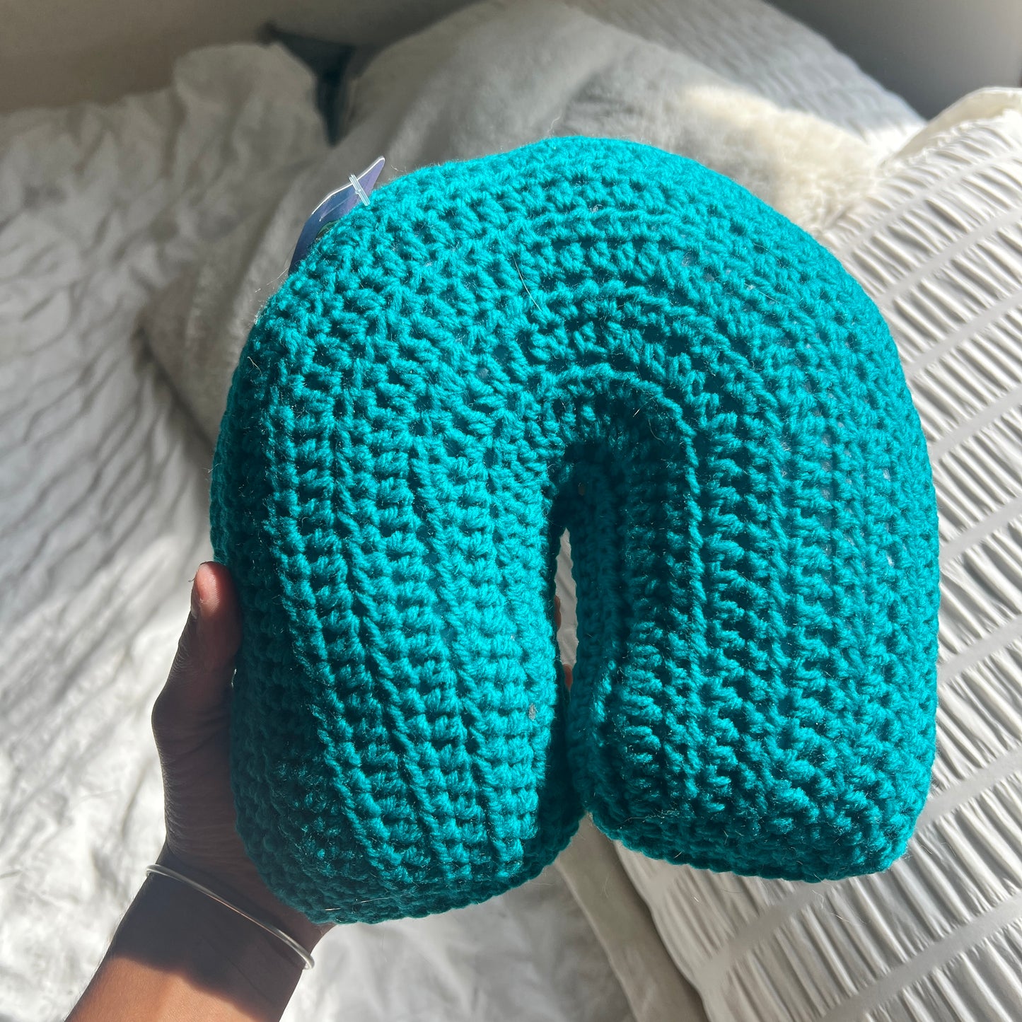Lemon Blueberry Rainbow Pillow