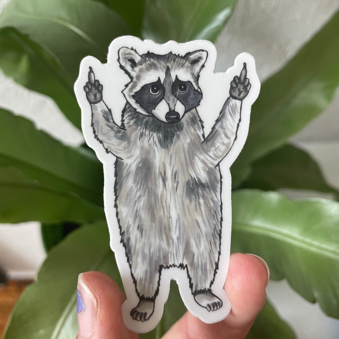 Raccoon Middle Finger Sticker