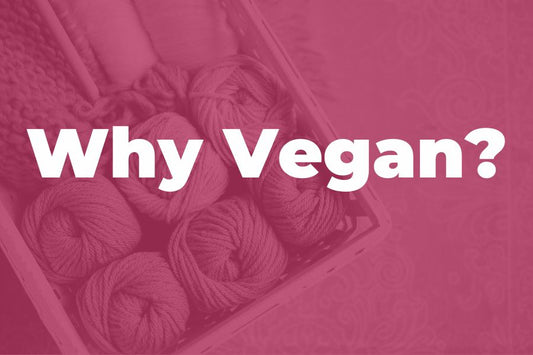 Why Vegan? | Why We Don't Use Animal Fibers